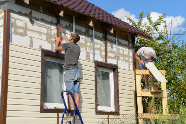 Best Custom Trim and Detailing for Siding  in Ferris, TX